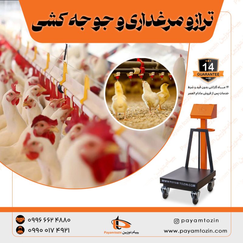 ترازو مرغداری و جوجه کشی